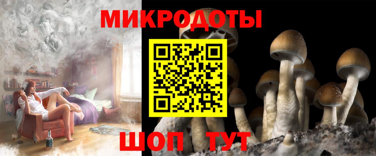 Галлюциногенные грибы Psilocybe  Вход с VPN  Новокубанск 