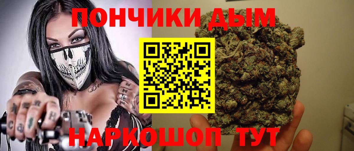 Шишки марихуана конопля Новокубанск